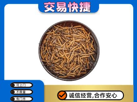邢台广宗县高价回收散虫草